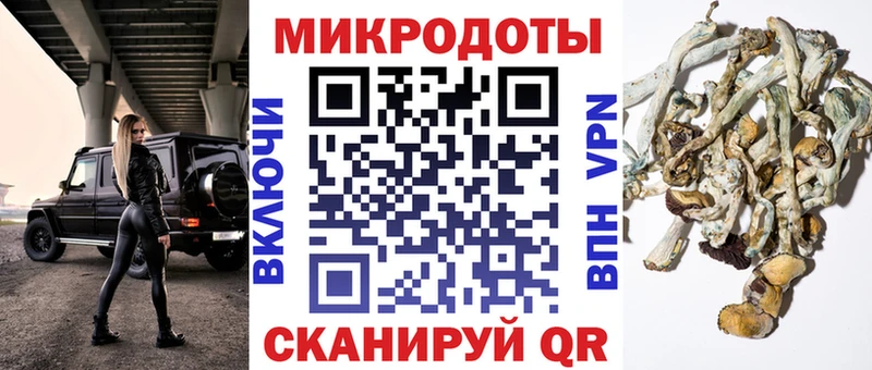Псилоцибиновые грибы Cubensis Рузаевка